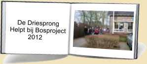 De Driesprong Helpt bij Bosproject           2012