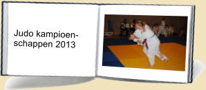 Judo kampioen- schappen 2013