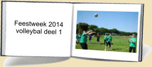 Feestweek 2014    volleybal deel 1